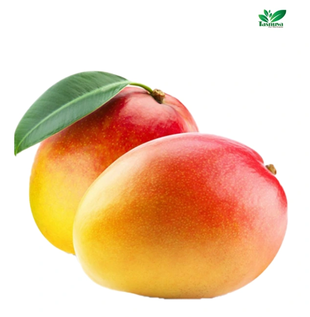 Fresh Mango