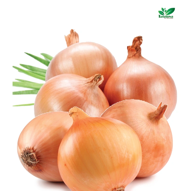 Onion