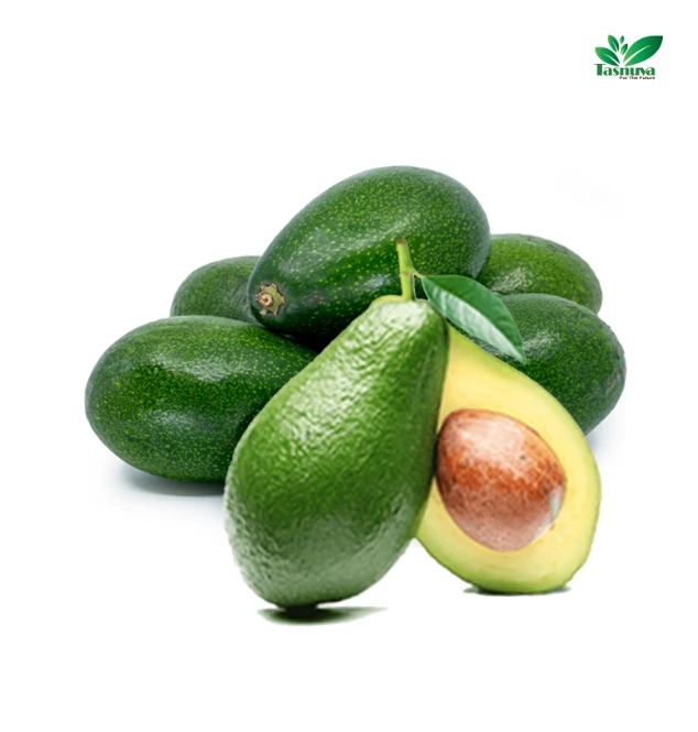 Fresh Avocado