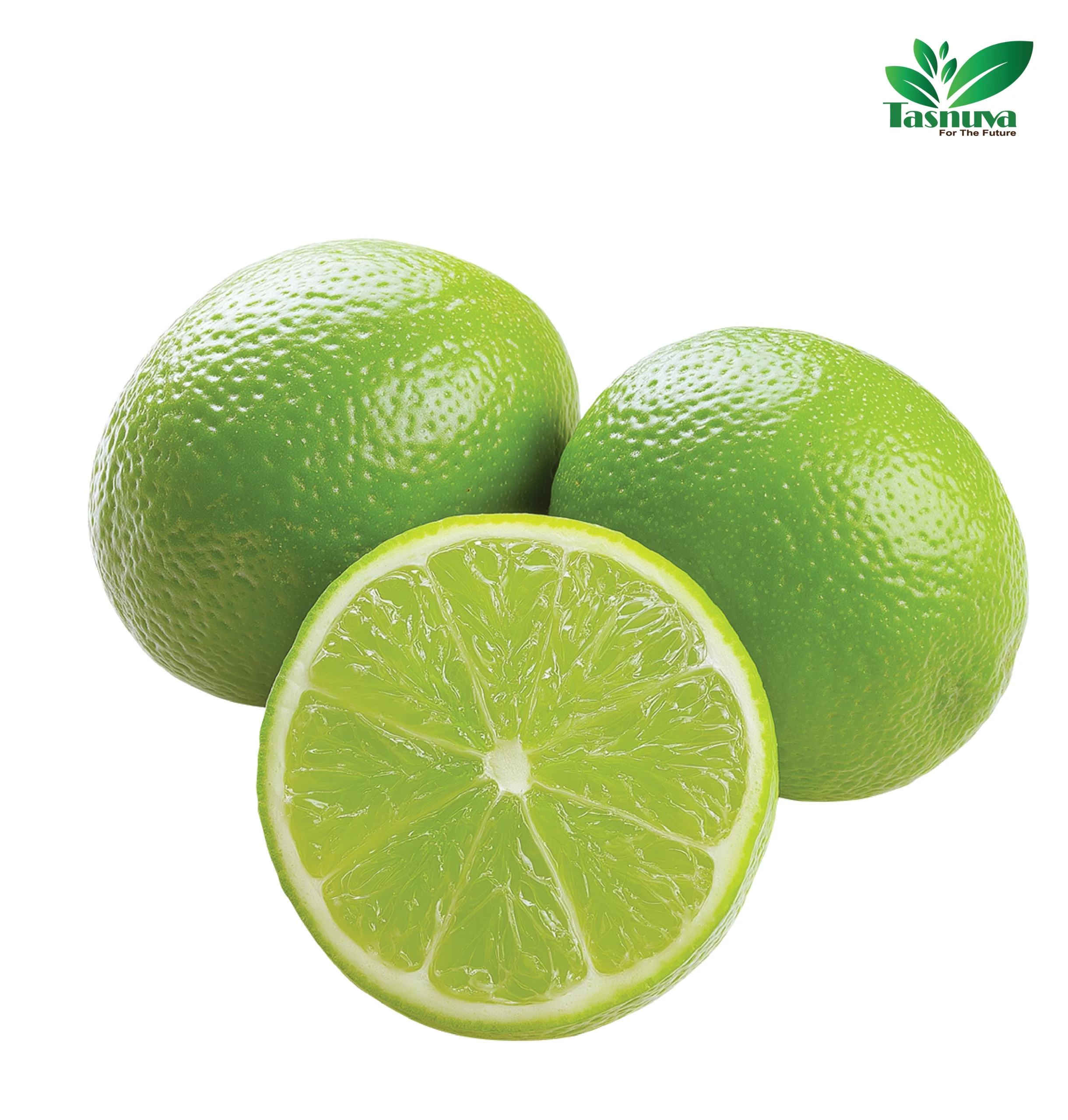 Lime
