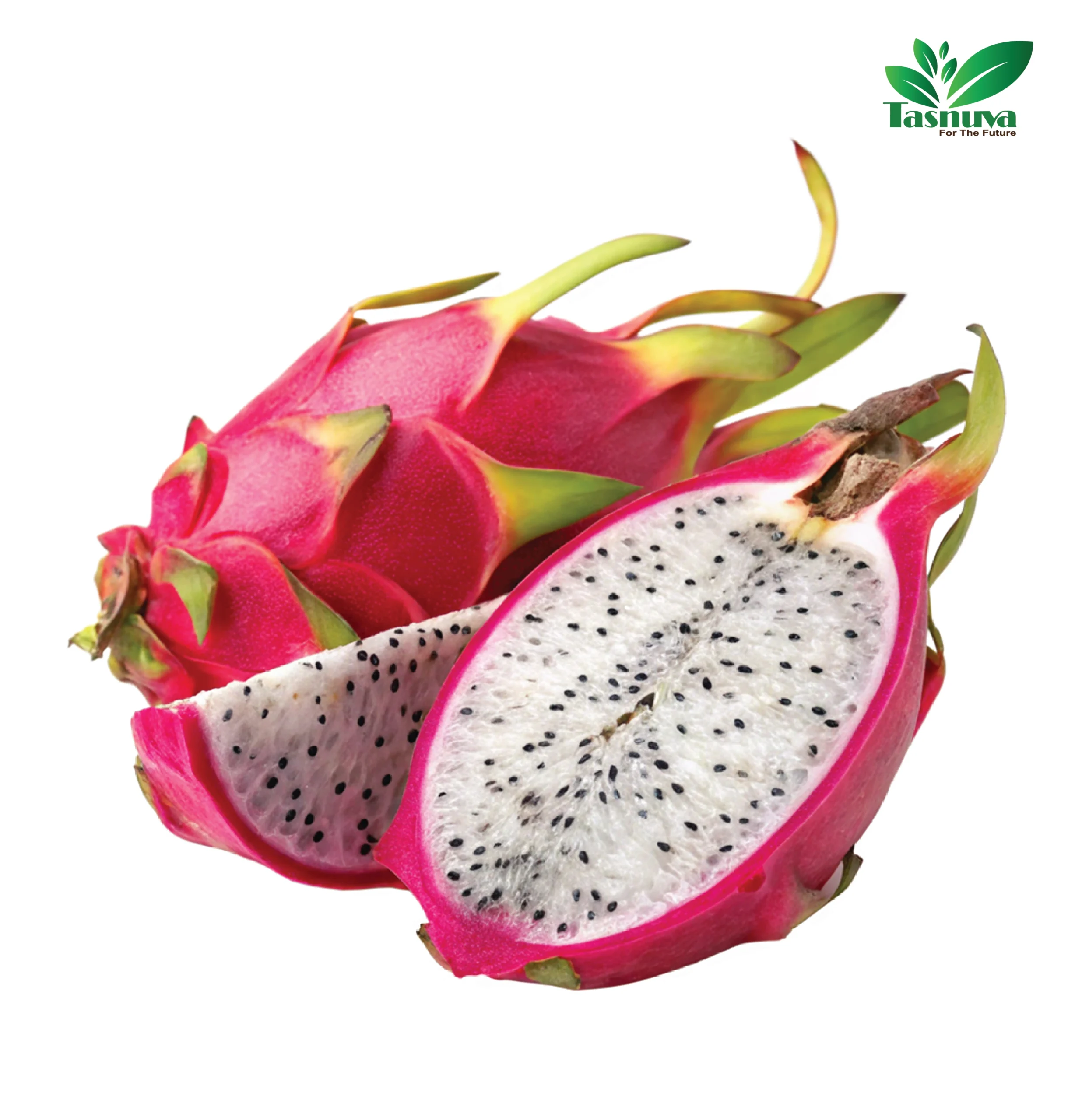 Dragon Fruit