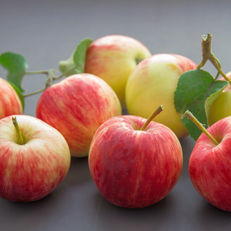 High-quality apples from South Africa available for wholesale in Bangladesh by TasnuvaFoods