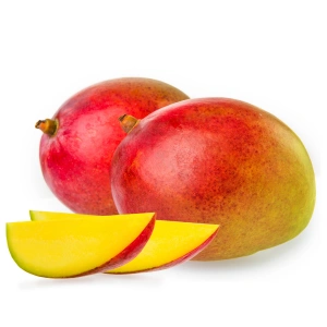 Fresh Mangoes from Bangladesh – Wholesale Supplier | TasnuvaFoods